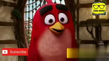 Angry Birds Comedy New Tamil Comedy Angry Bird Whatsapp Status Video Prathap Sharechat Funny Romantic Videos Shayari Quotes