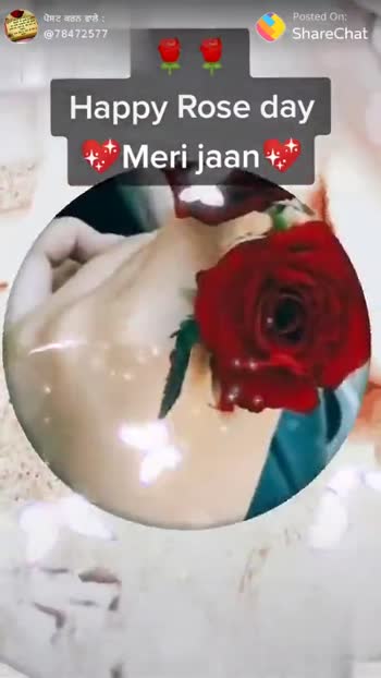 Happy Rose Day Love You Motto Rose Day Mere Jaan Happy Rose Day Video Manraj Sharechat Funny Romantic Videos Shayari Quotes