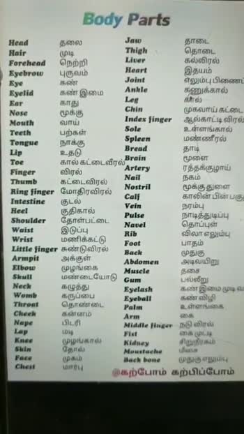 Spoken English Spoken English Body Parts English Names Daily English Verbs And Nouns Grammatical Sentences And Tamil Meanings Easiest Way To Learn English Daily By Mcrahman Video Mc