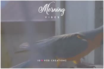 Malayalam Song Morning Vibes Malayalam Song Tamil Malayalam Song Malaiyalam Songs Dq Song Video Rob Creationz Sharechat Funny Romantic Videos Shayari Quotes