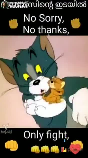 funny tom and jerry videos