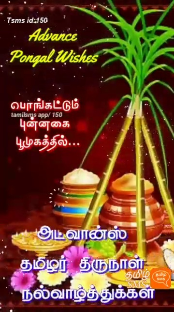 100 Best Images Videos 2022 Pongal Wishes Whatsapp Group Facebook Group Telegram Group